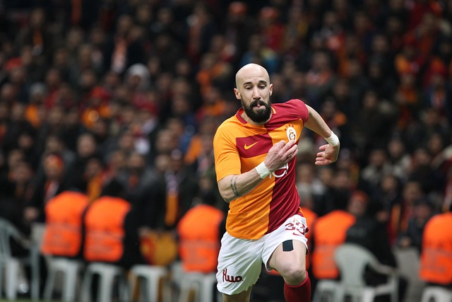 弗拉霍维奇 弗拉霍维奇