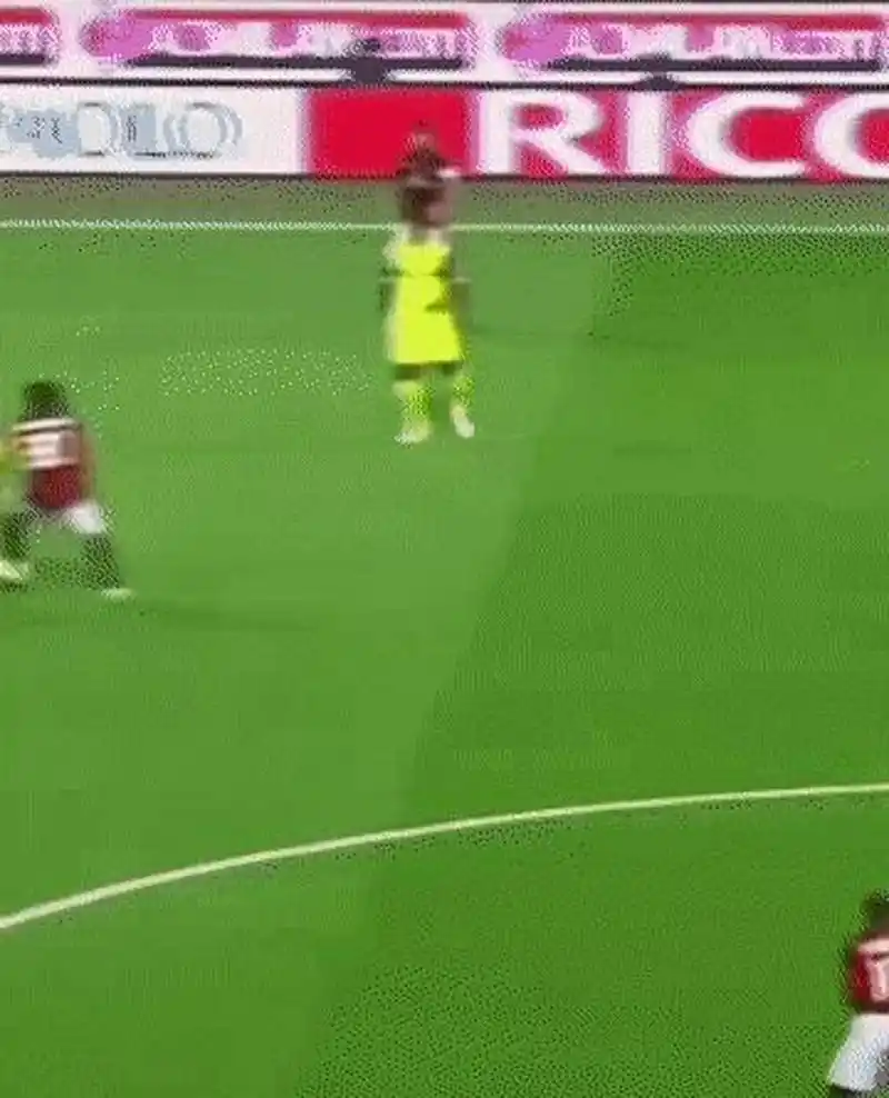 入了更多动 入了更多动