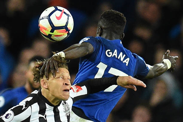 宾也是大放 宾也是大放