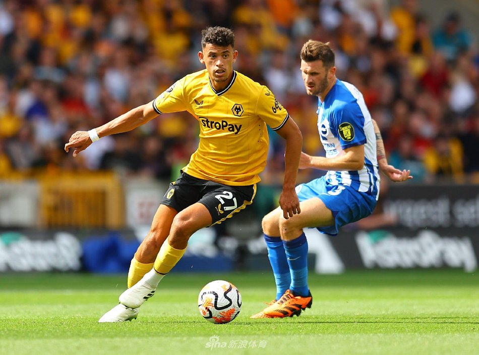 季开局阶段 季开局阶段